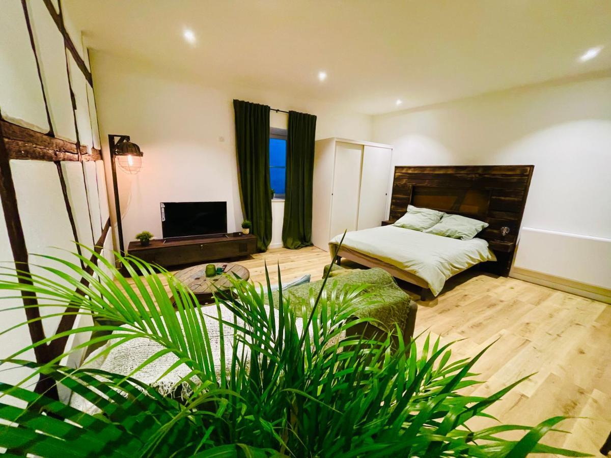 Le Ptit Chauffour - Hyper Centre De Colmar & Au Calme Apartment Ngoại thất bức ảnh